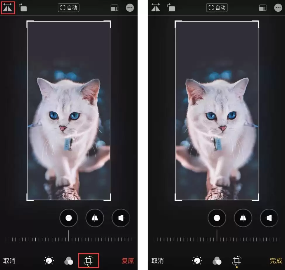 iPhone 前置摄像头拍照左右相反?试试 iOS 13 的照片编辑功能 iPhone 前置摄像头拍照左右相反?试试 iOS 13 的照片编辑功能