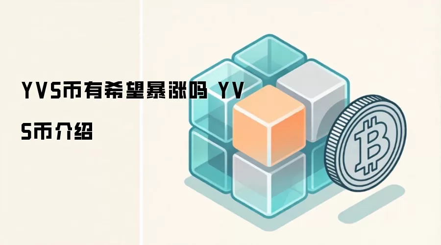 YVS币有希望暴涨吗 YVS币介绍
