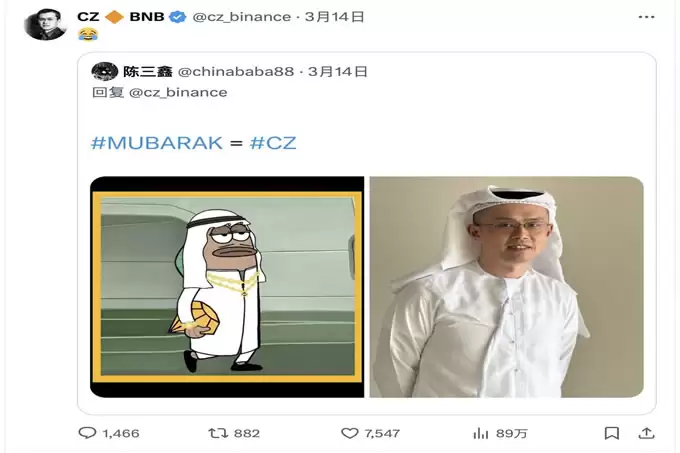 Mubarak风险与监管挑战