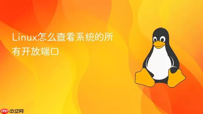 Linux怎么查看系统的所有开放端口