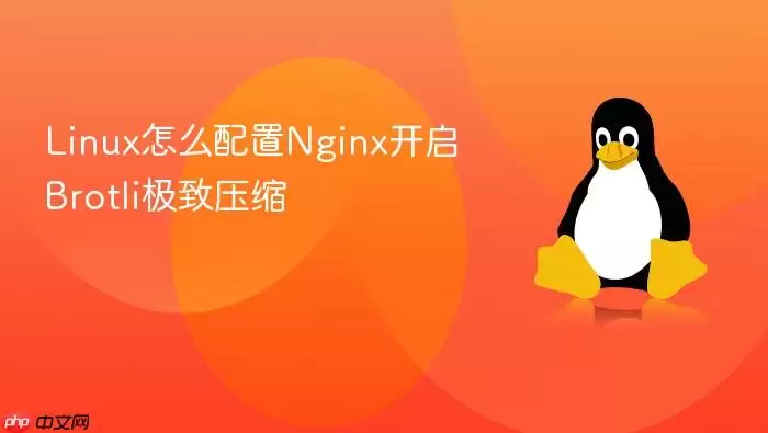 Linux怎么配置Nginx开启Brotli极致压缩