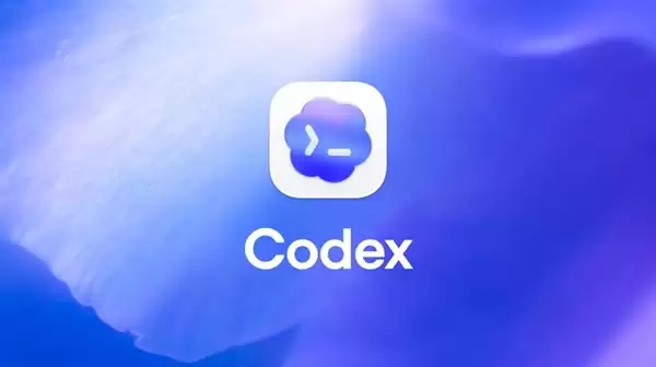 Codex 1个月吃掉150GB流量 写满4T硬盘 疯了吗?