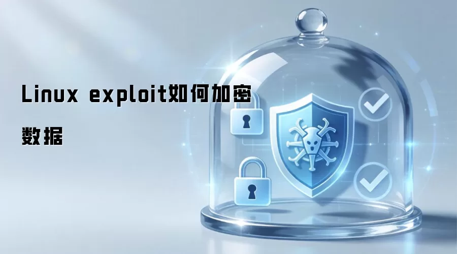 Linux exploit如何加密数据