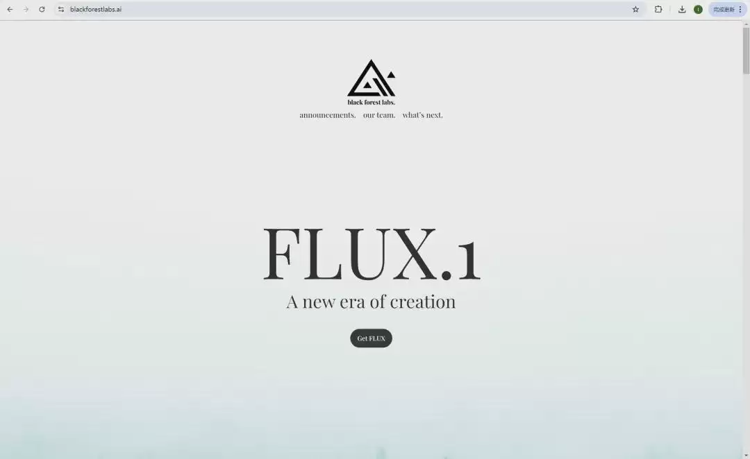 带你了解AI绘画大模型FLUX.1，包括实测效果、使用方法等