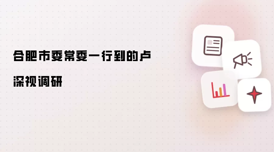 合肥市委常委一行到的卢深视调研