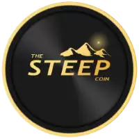 代币化资产与SteepCoin概念示意图