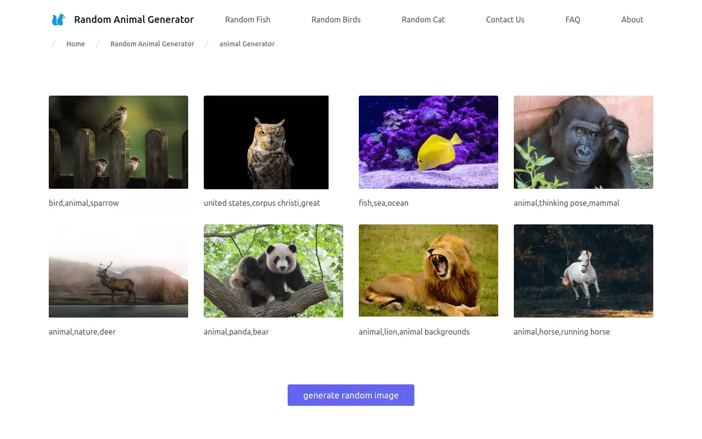 Random Animal Generator : 随机动物生成器