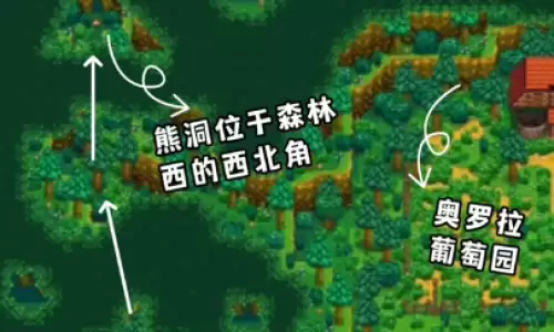 星露谷物语sve熊商店卖什么 熊商店出售物品一览