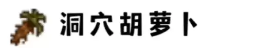 洞xue胡萝卜
