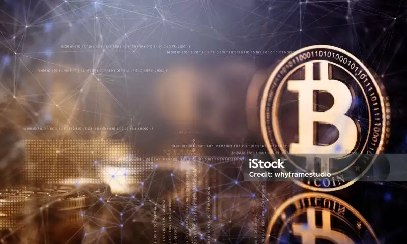 比特币期权定价模型解析