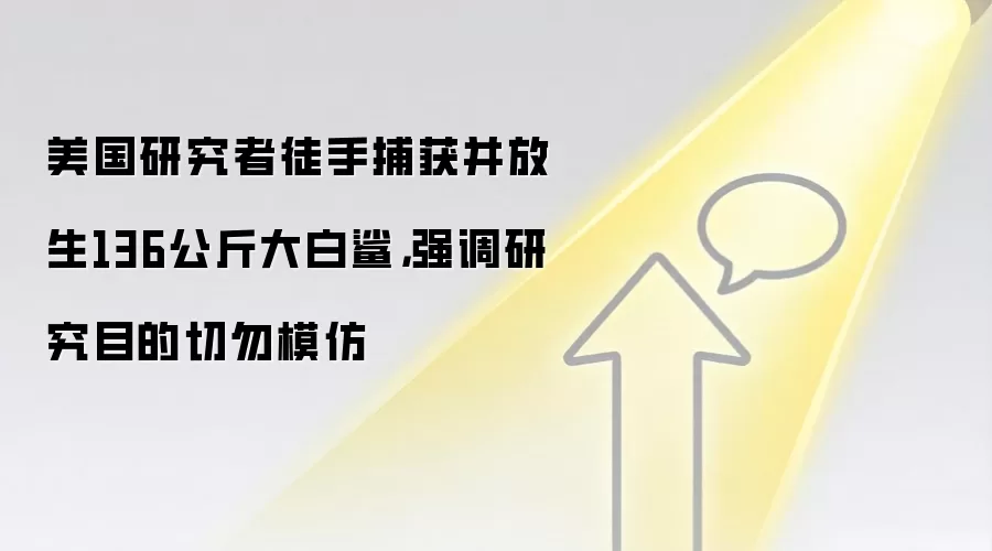 美国研究者徒手捕获并放生136公斤大白鲨,强调研究目的切勿模仿