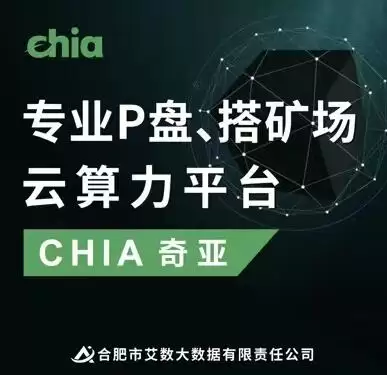 Chia奇亚P盘概念与PoC容量证明挖矿教程