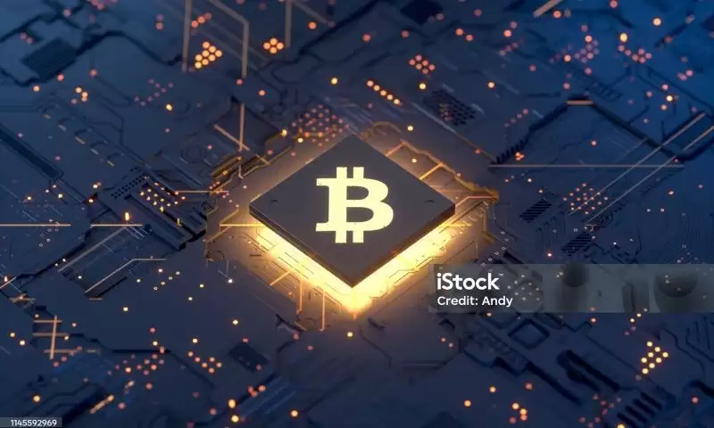 比特币期权深度解析:机制、策略与前景