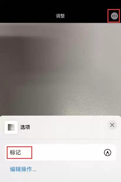 如何使用 iPhone “标记”功能为照片添加文字？