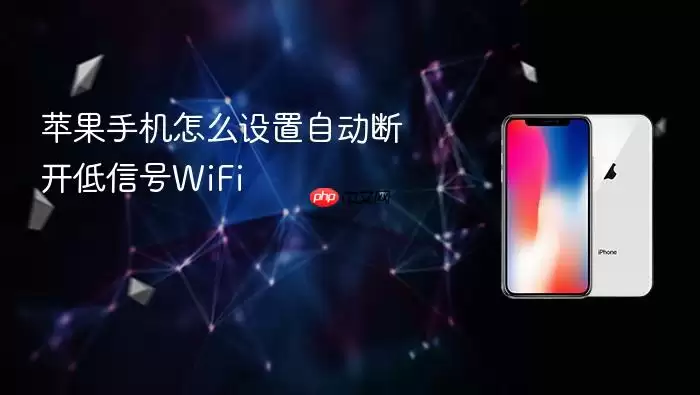 图片:iPhone Wi-Fi设置界面示意图