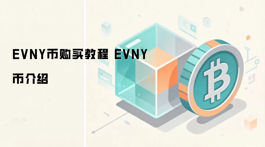 EVNY币购买教程 EVNY币介绍
