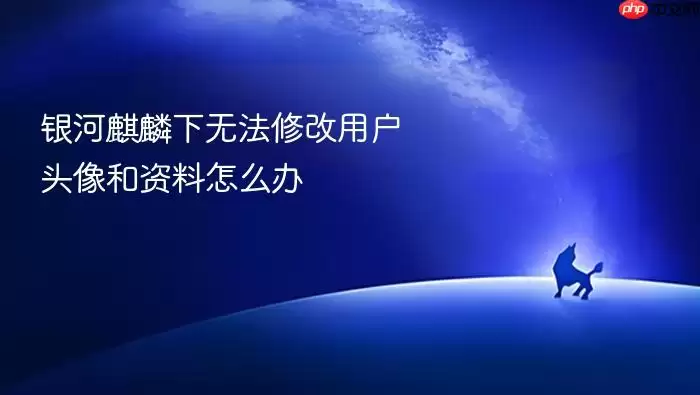 银河麒麟下无法修改用户头像和资料怎么办