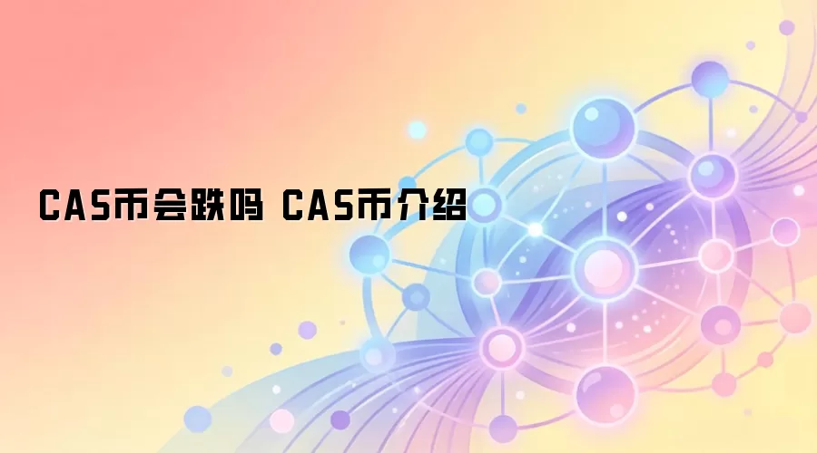 CAS币会跌吗 CAS币介绍