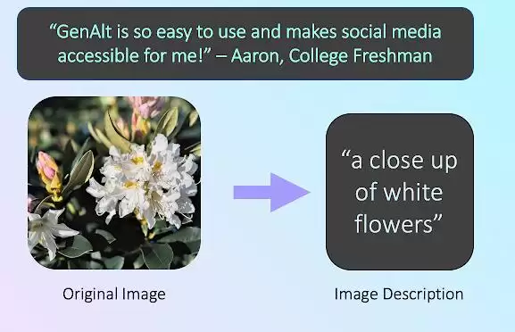 GenAlt - Generated AI Alternate Text : 获取无图像描述的图像的替代文本