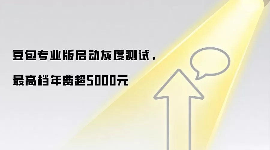 豆包专业版启动灰度测试，最高档年费超5000元