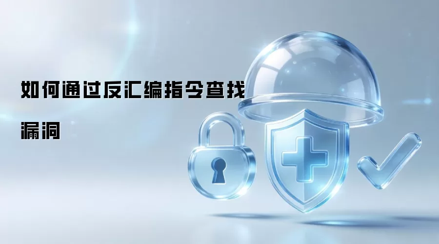 如何通过反汇编指令查找漏洞