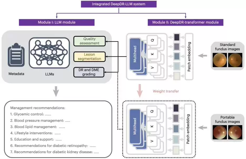 国际首个，我国团队开发糖尿病诊疗多模态大模型 DeepDR-LLM