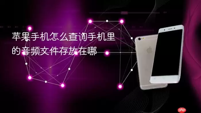 苹果手机怎么查询手机里的音频文件存放在哪