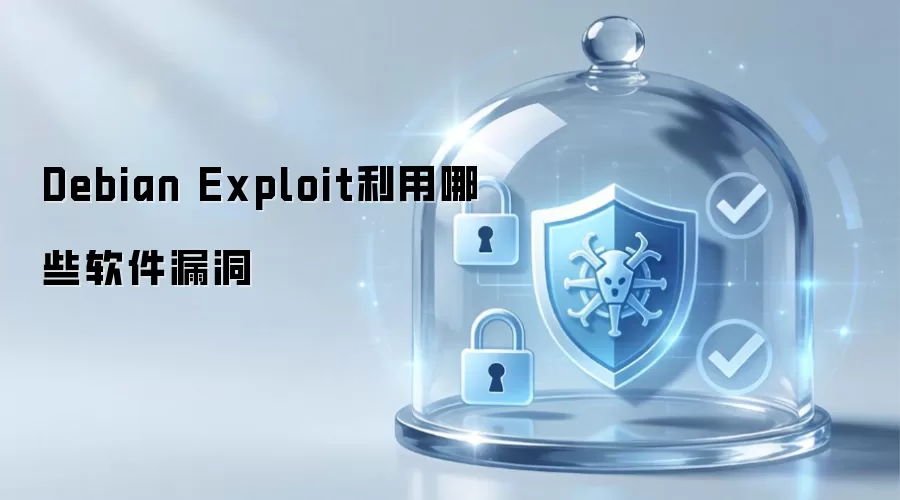 Debian Exploit利用哪些软件漏洞