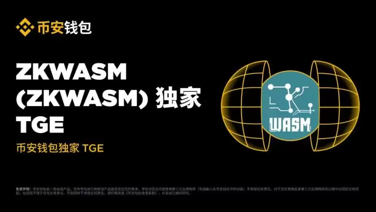 ZKWASM 项目整体介绍
