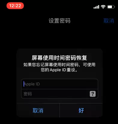 苹果iPhone手机如何设置APP锁? 苹果iPhone手机如何设置APP锁?