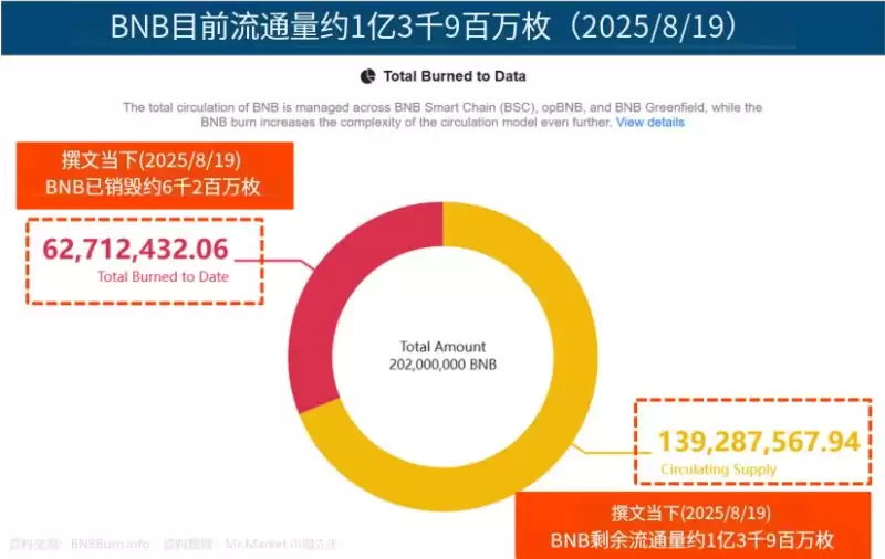 BNB币安币介绍