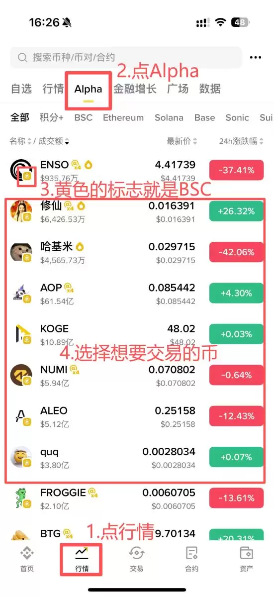 币安Alpha币种查询路径