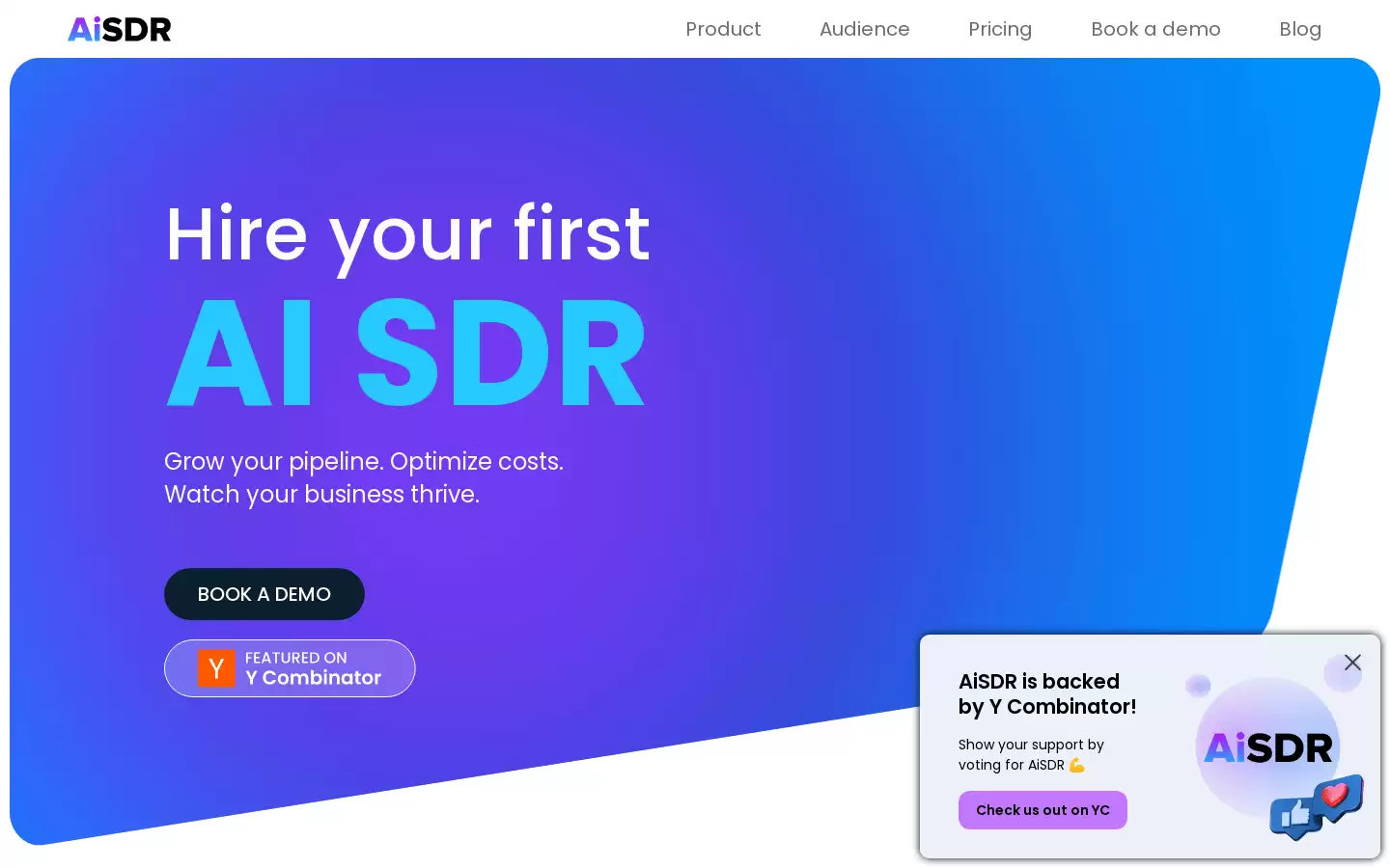 AiSDR : 增长销售线索，优化成本