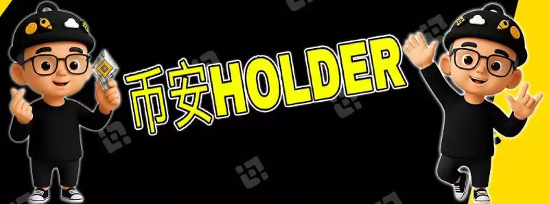 BNBHOLDER币全面介绍