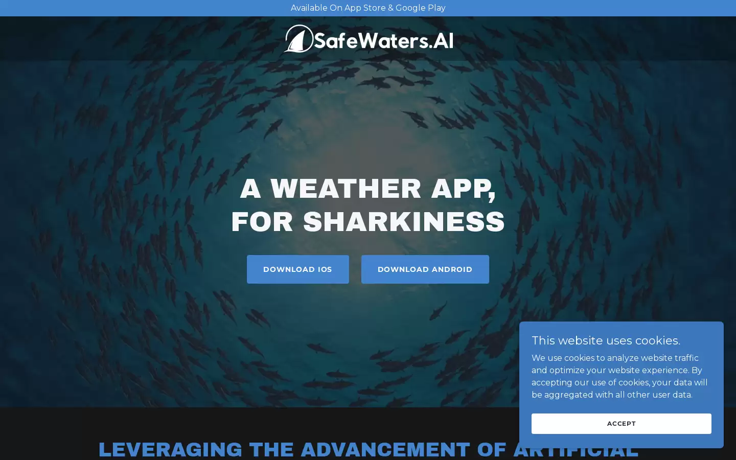 SafeWaters.ai : 像天气应用一样，预测鲨鱼袭击风险