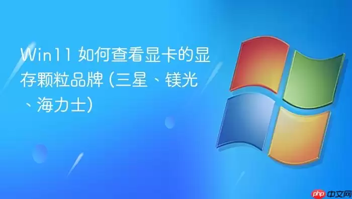 Win11 如何查看显卡的显存颗粒品牌 (三星、镁光、海力士)