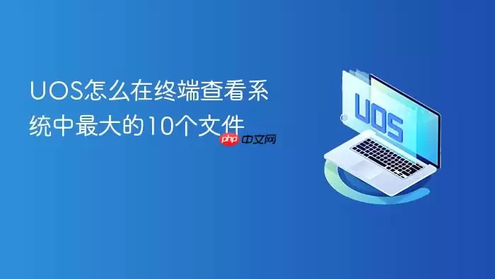 UOS怎么在终端查看系统中最大的10个文件