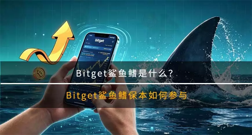 Bitget鲨鱼鳍是什么?Bitget鲨鱼鳍保本如何参与