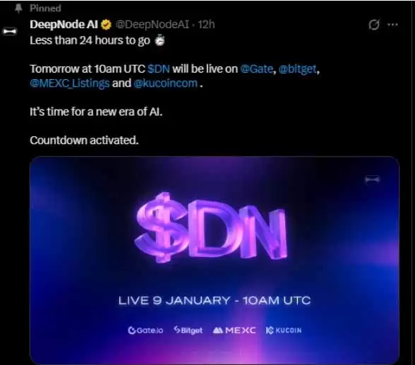 DeepNode代币经济模型图解:DN总供应量与分配比例分布