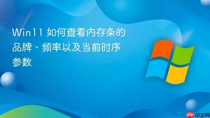 Win11 如何查看内存条的品牌、频率以及当前时序参数
