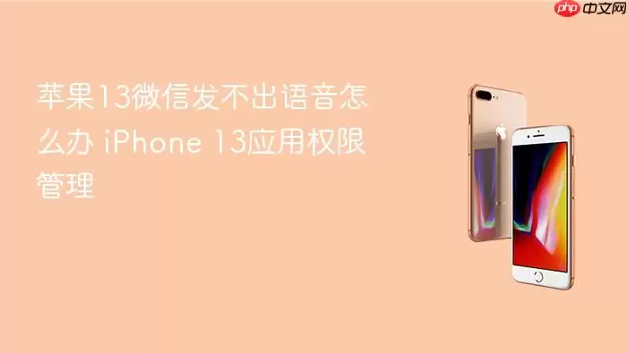 苹果13微信发不出语音怎么办 iPhone 13应用权限管理