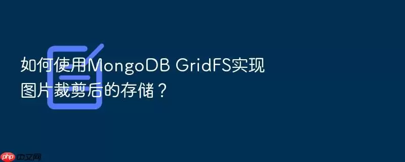 如何使用MongoDB GridFS实现图片裁剪后的存储?