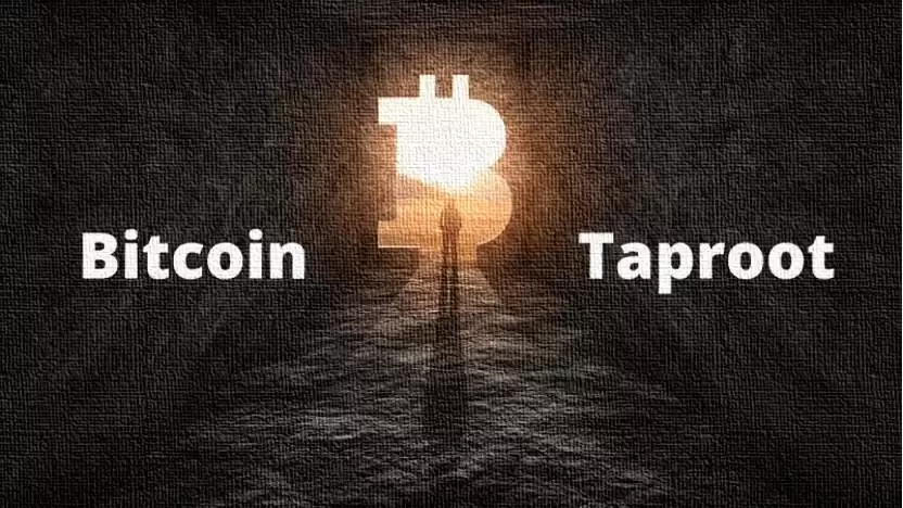 什么是比特币Taproot升级?Taproot有什么好处?