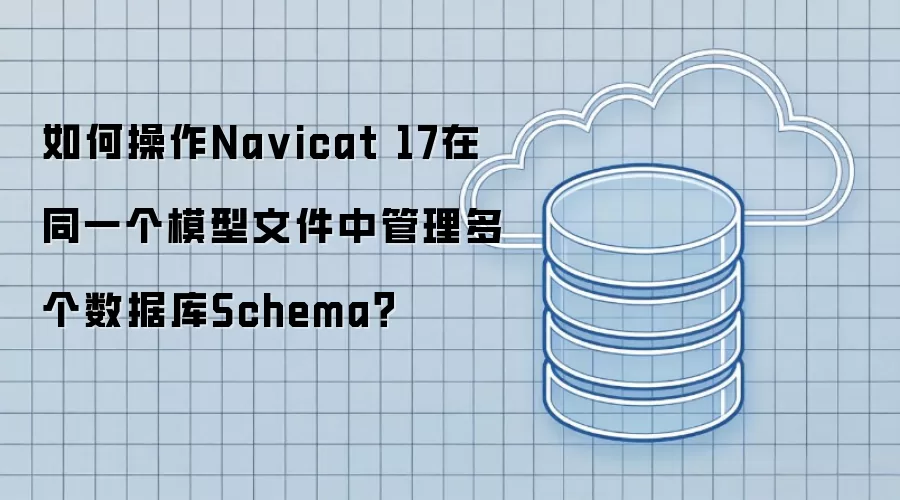 如何操作Na vicat 17在同一个模型文件中管理多个数据库Schema?