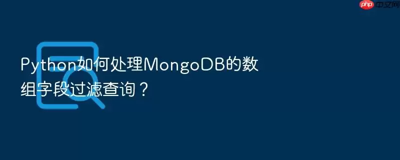 Python如何处理MongoDB的数组字段过滤查询?