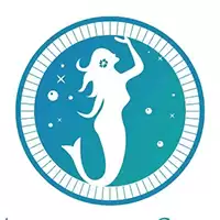 Mermaid币MERD Web3项目分析