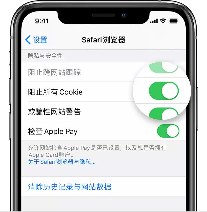 如何清除 Safari 浏览器中的历史记录和 Cookie?