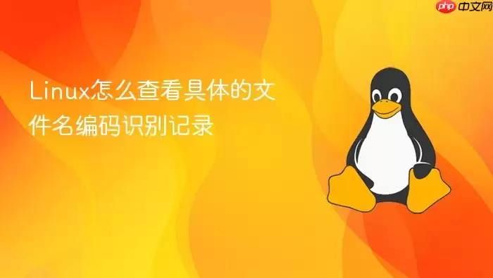 Linux怎么查看具体的文件名编码识别记录