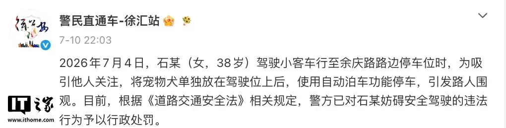 司机让宠物狗坐主驾自动泊车,警方通报罚200元记3分
