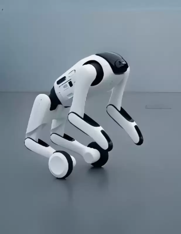 \